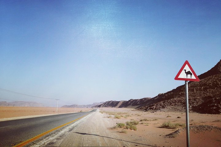 Wadi Rum Private tour from Amman or Dead Sea (1 Day)