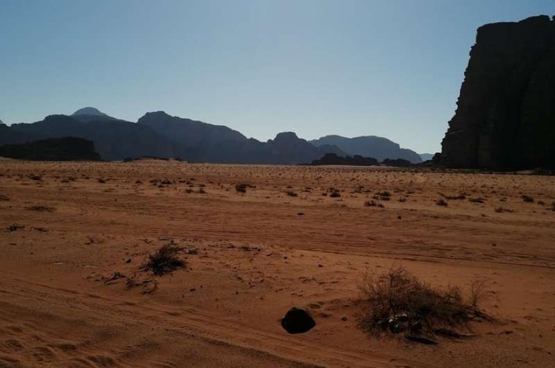 Wadi Rum Private tour from Amman or Dead Sea (1 Day)