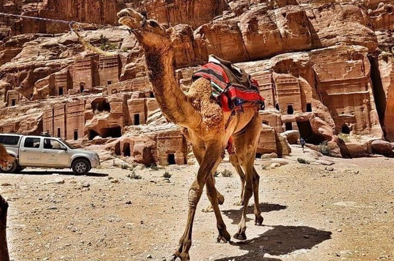 Petra & Dead Sea 1 Day Private tour (Lunch included)