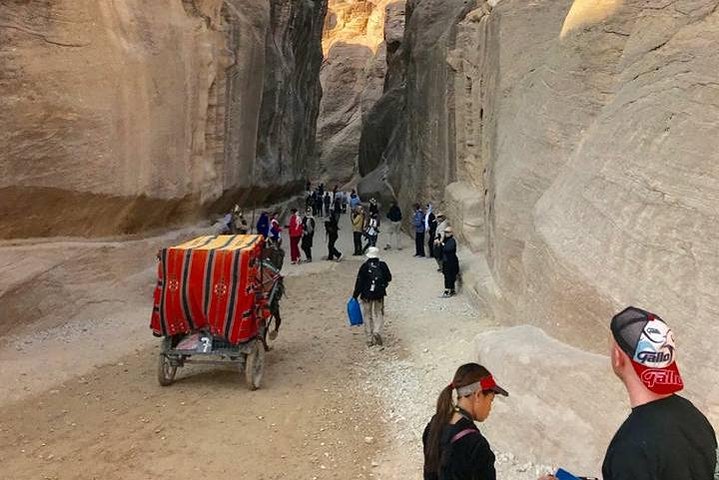 Dead Sea to Petra Private tour round trip or one way
