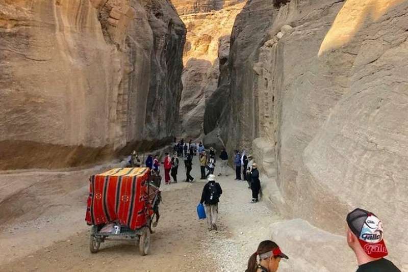 Petra, Wadi Rum & Dead Sea (2 Days)