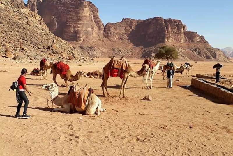 Petra, Wadi Rum & Dead Sea (2 Days)