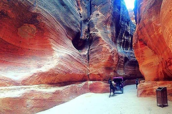 Private day tour to Petra from Amman