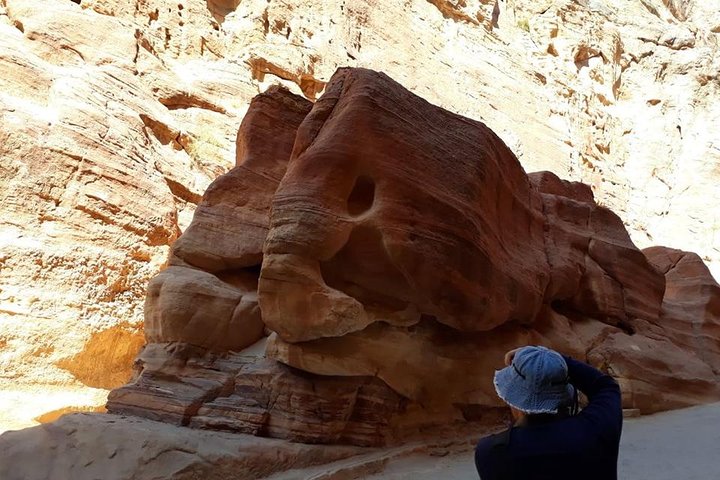 Private day tour to Petra from Amman